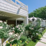 Spring in the garden